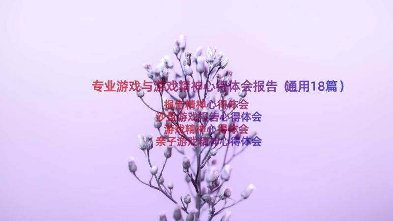 专业游戏与游戏精神心得体会报告（通用18篇）