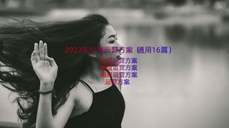 2023年公寓运营方案（通用16篇）