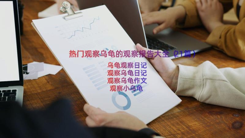 热门观察乌龟的观察报告大全（21篇）