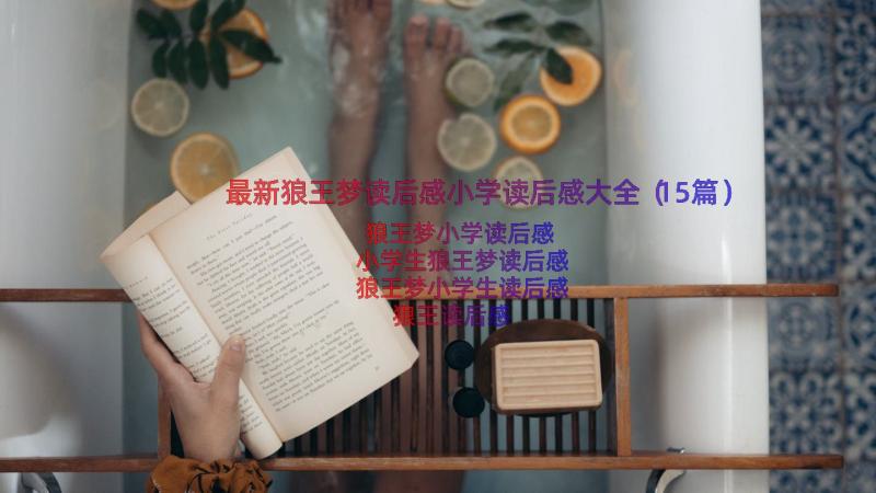 最新狼王梦读后感小学读后感大全（15篇）