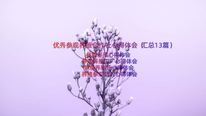 优秀参观养殖合作社心得体会（汇总13篇）