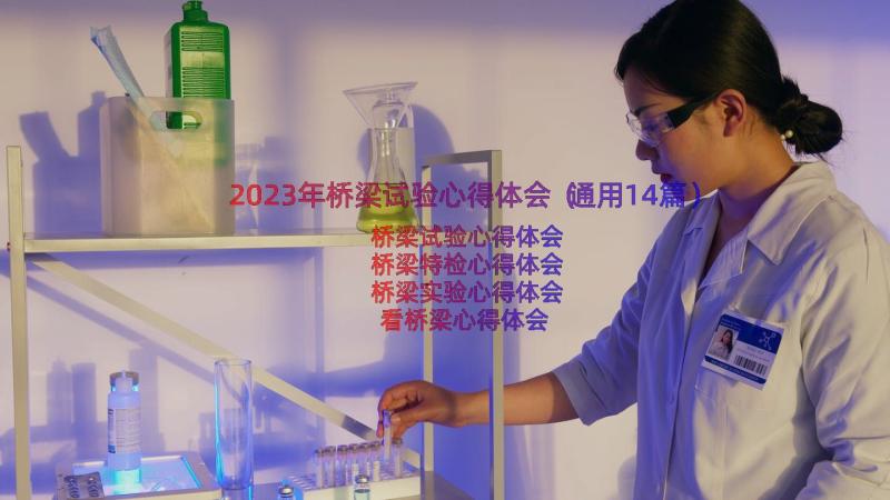 2023年桥梁试验心得体会（通用14篇）