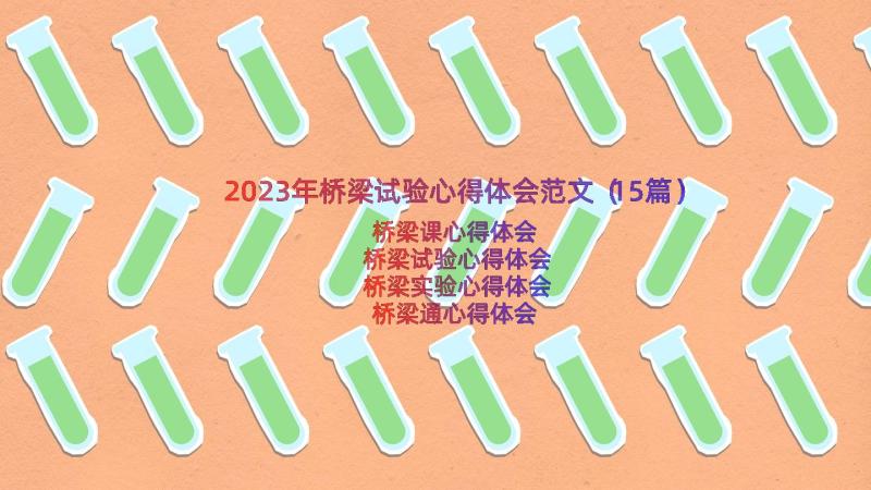 2023年桥梁试验心得体会范文（15篇）