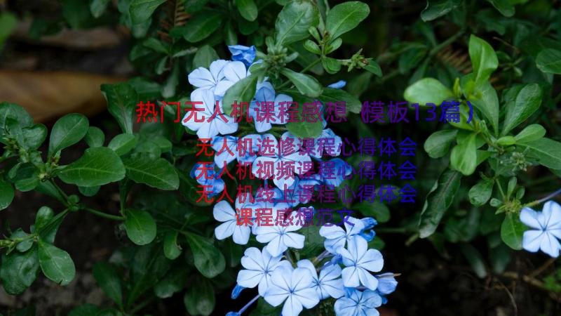 热门无人机课程感想（模板13篇）