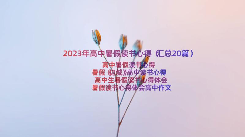 2023年高中暑假读书心得（汇总20篇）