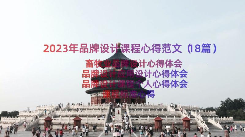 2023年品牌设计课程心得范文（18篇）