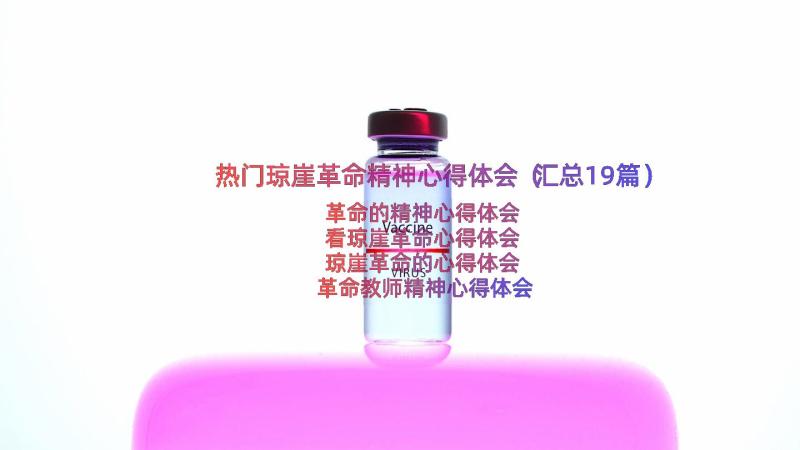 热门琼崖革命精神心得体会（汇总19篇）