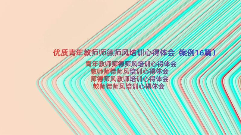 优质青年教师师德师风培训心得体会（案例16篇）