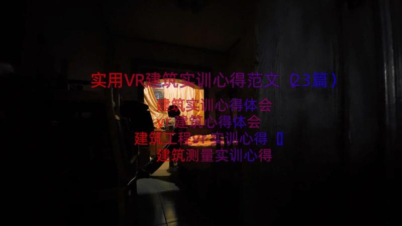 实用VR建筑实训心得范文（23篇）