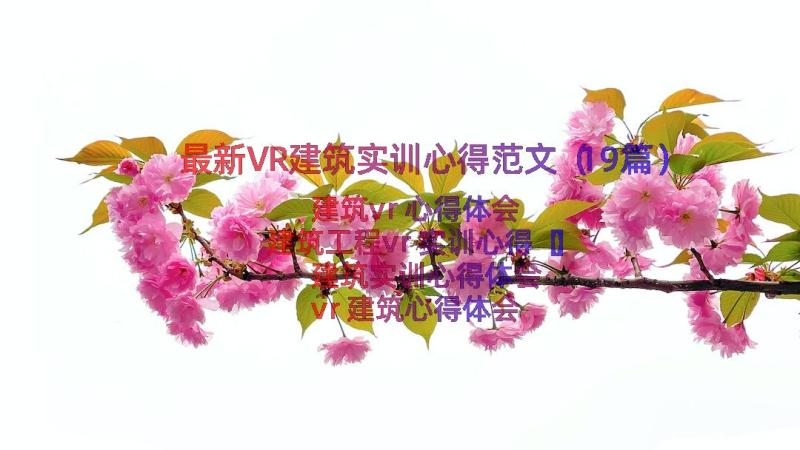 最新VR建筑实训心得范文（19篇）