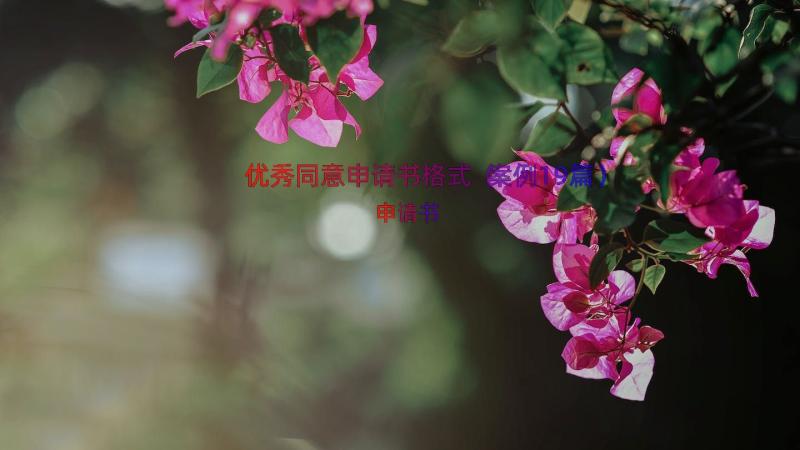 优秀同意申请书格式（案例19篇）