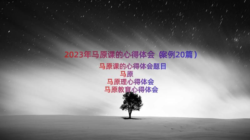 2023年马原课的心得体会（案例20篇）