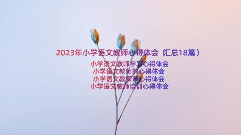 2023年小学语文教师心得体会（汇总18篇）