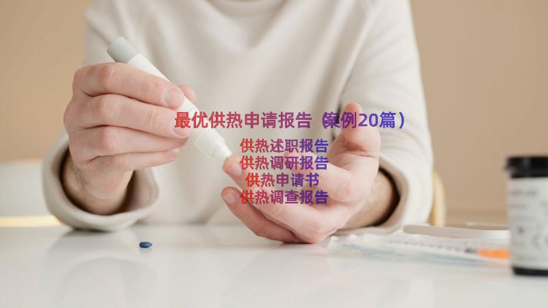 最优供热申请报告（案例20篇）