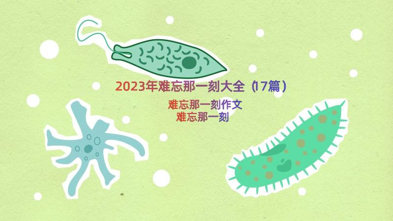 2023年难忘那一刻大全（17篇）