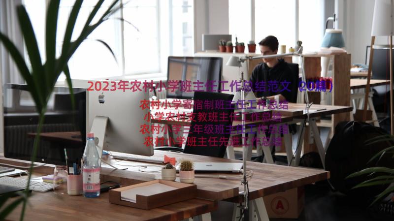 2023年农村小学班主任工作总结范文（20篇）