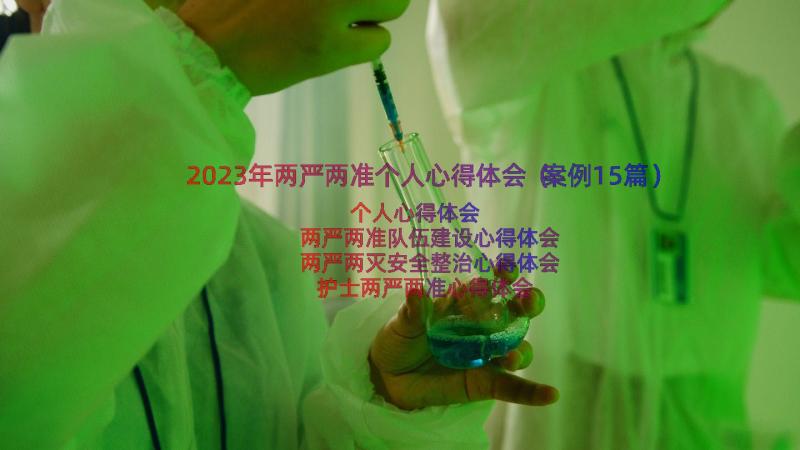 2023年两严两准个人心得体会（案例15篇）