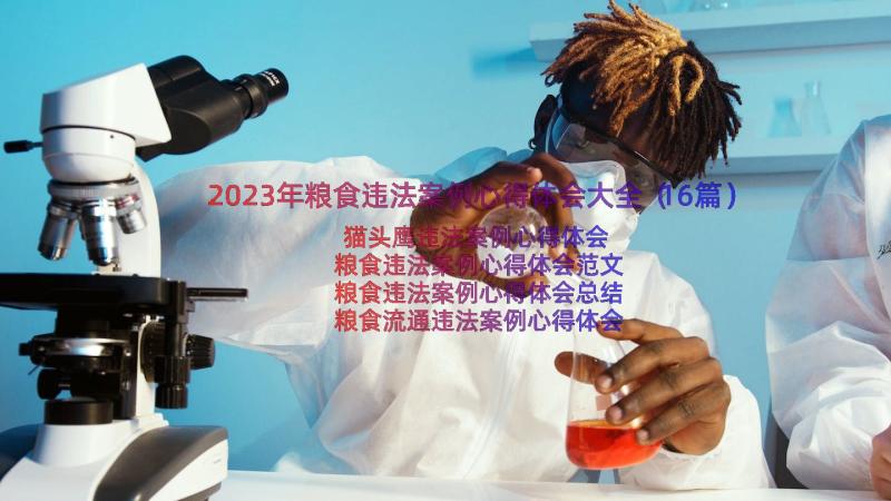 2023年粮食违法案例心得体会大全（16篇）