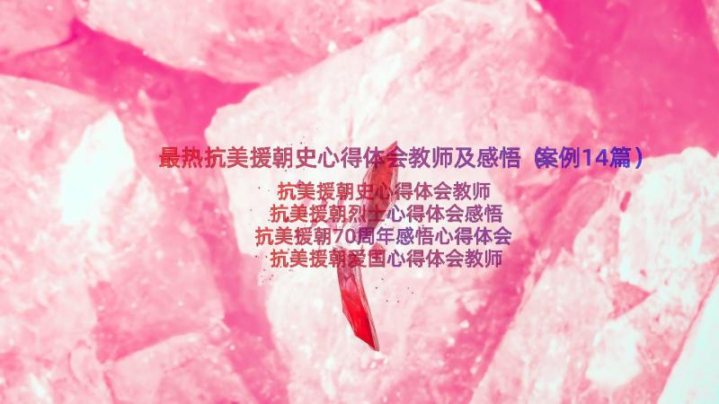 最热抗美援朝史心得体会教师及感悟（案例14篇）