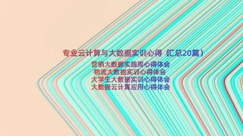 专业云计算与大数据实训心得（汇总20篇）