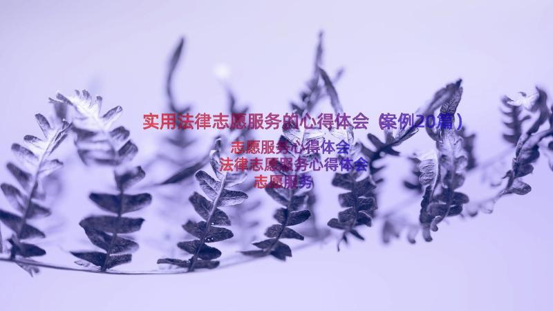 实用法律志愿服务的心得体会（案例20篇）