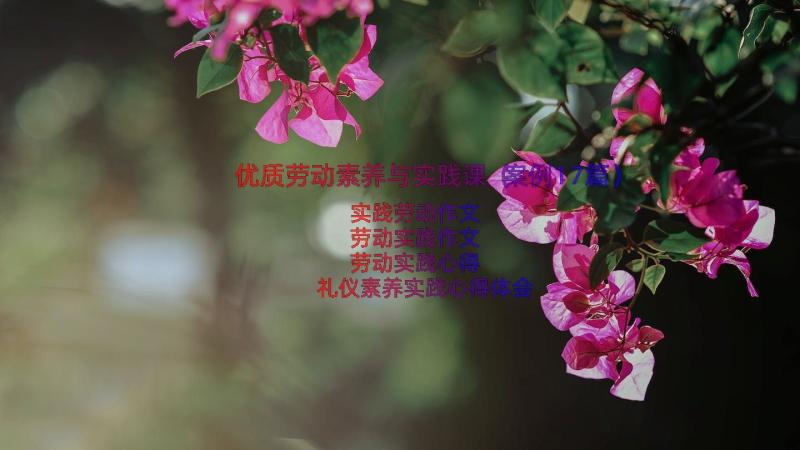 优质劳动素养与实践课（案例17篇）