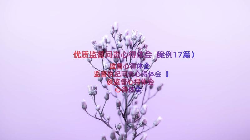 优质监督问责心得体会（案例17篇）