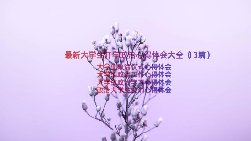 最新大学生开学政治心得体会大全（13篇）