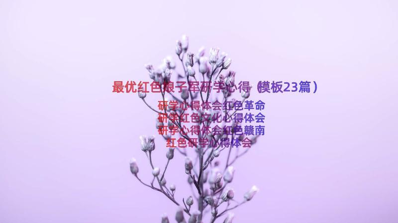 最优红色娘子军研学心得（模板23篇）