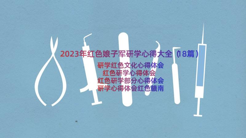 2023年红色娘子军研学心得大全（18篇）