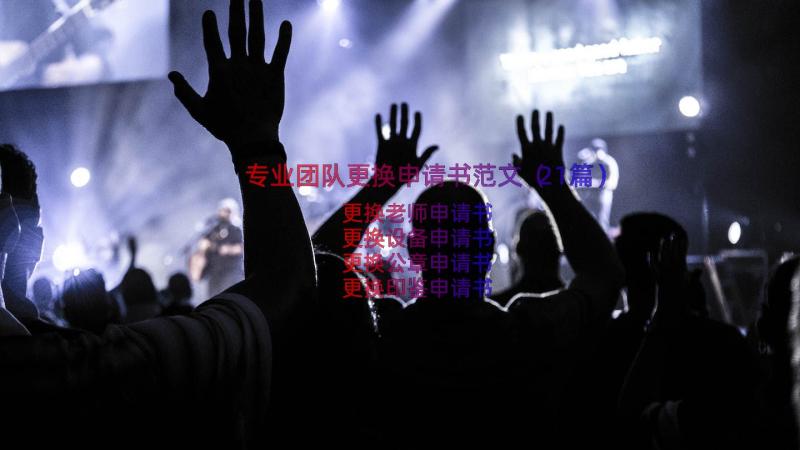 专业团队更换申请书范文（21篇）