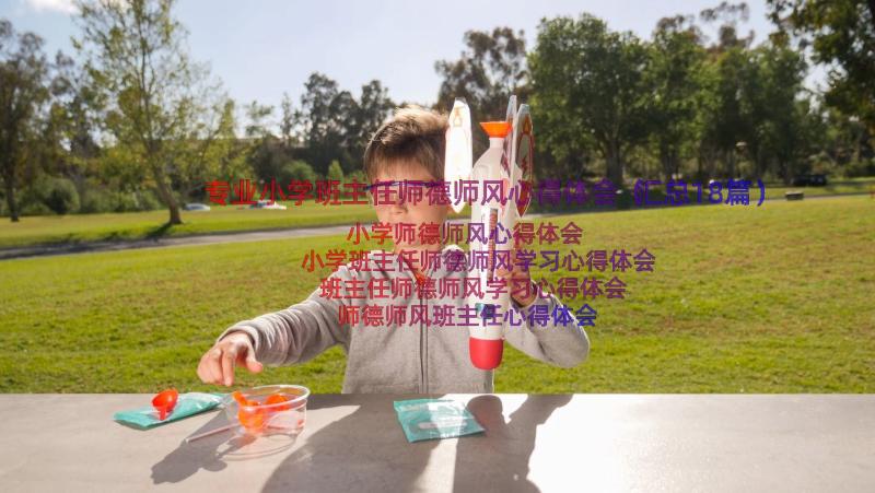 专业小学班主任师德师风心得体会（汇总18篇）