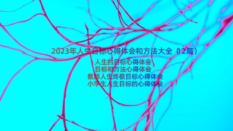 2023年人生目标心得体会和方法大全（12篇）