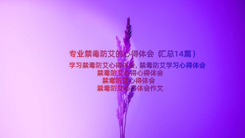 专业禁毒防艾的心得体会（汇总14篇）