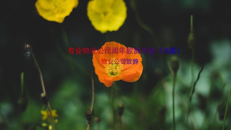 专业物业公司周年致辞大全（18篇）