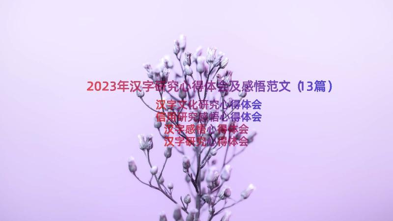 2023年汉字研究心得体会及感悟范文（13篇）