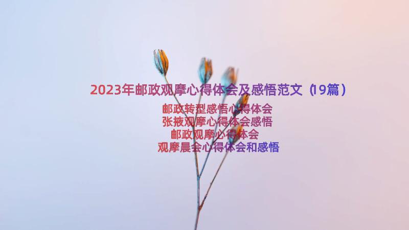 2023年邮政观摩心得体会及感悟范文（19篇）