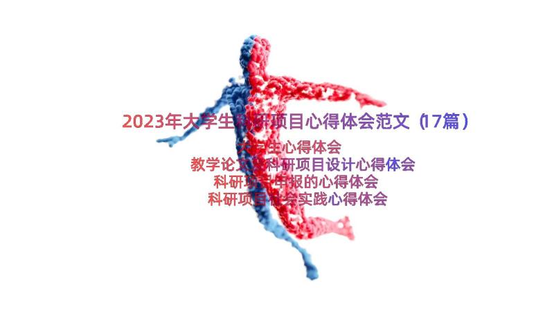 2023年大学生科研项目心得体会范文（17篇）