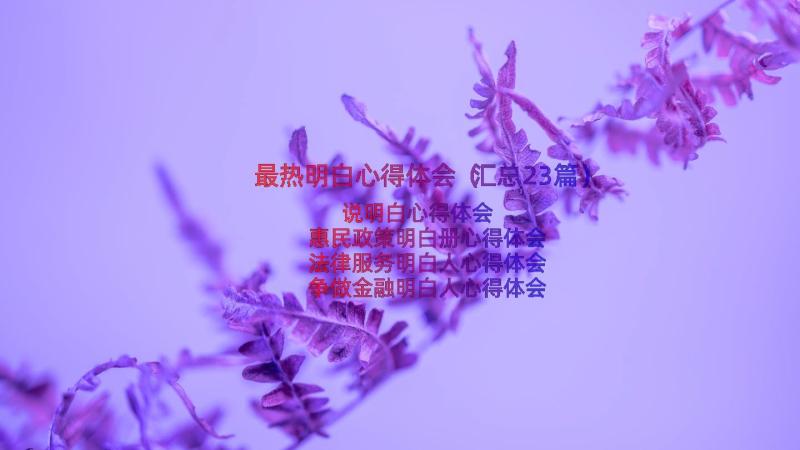 最热明白心得体会（汇总23篇）