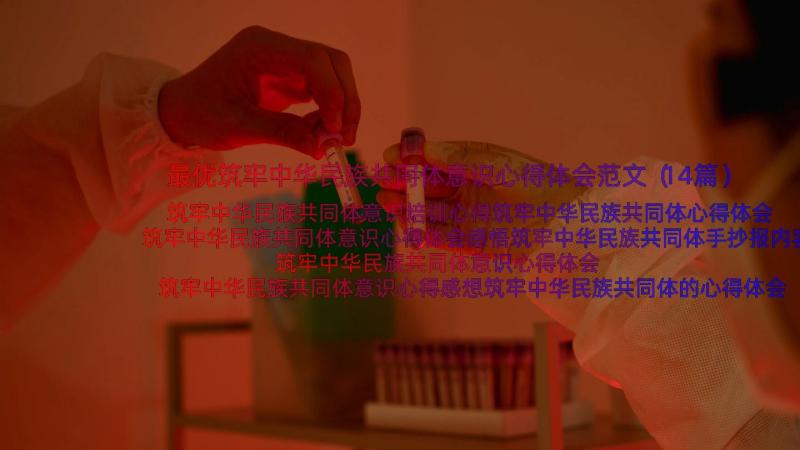 最优筑牢中华民族共同体意识心得体会范文（14篇）