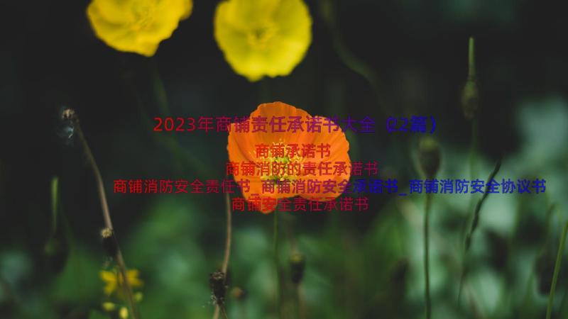 2023年商铺责任承诺书大全（22篇）