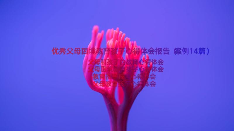 优秀父母困境教育孩子心得体会报告（案例14篇）