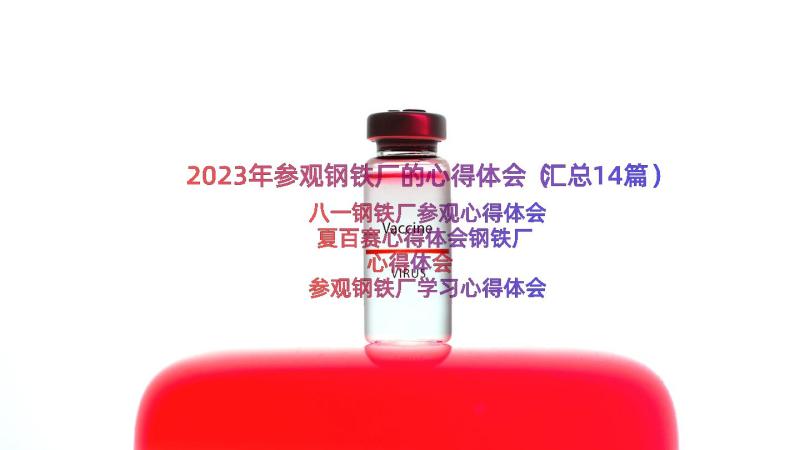 2023年参观钢铁厂的心得体会（汇总14篇）