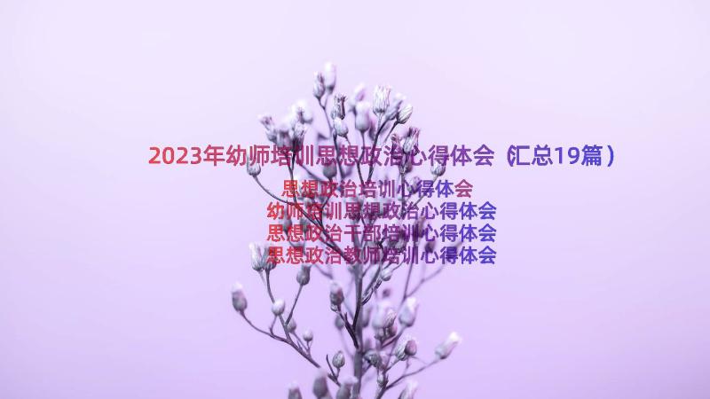 2023年幼师培训思想政治心得体会（汇总19篇）