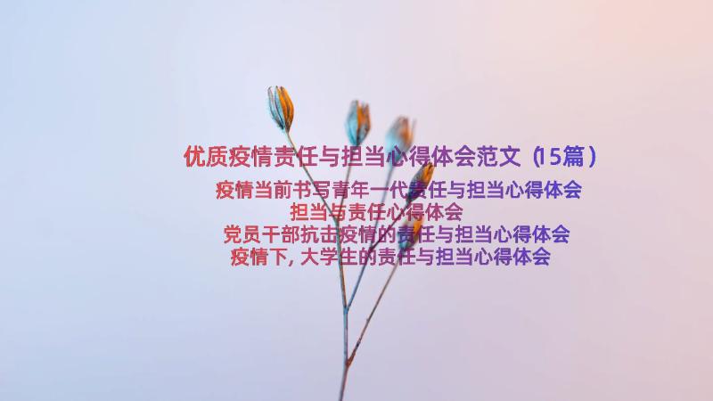 优质疫情责任与担当心得体会范文（15篇）