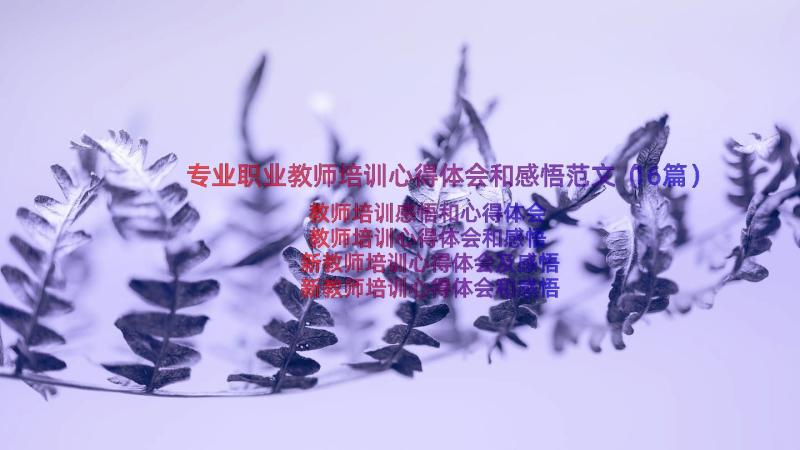 专业职业教师培训心得体会和感悟范文（16篇）