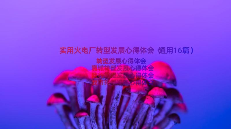 实用火电厂转型发展心得体会（通用16篇）