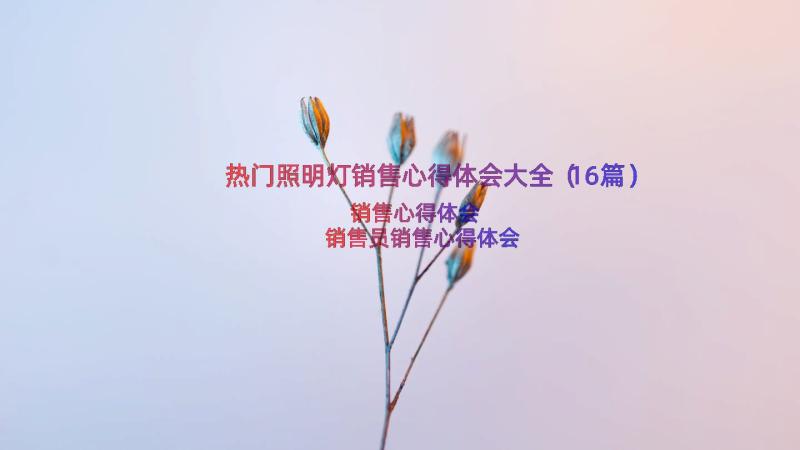 热门照明灯销售心得体会大全（16篇）