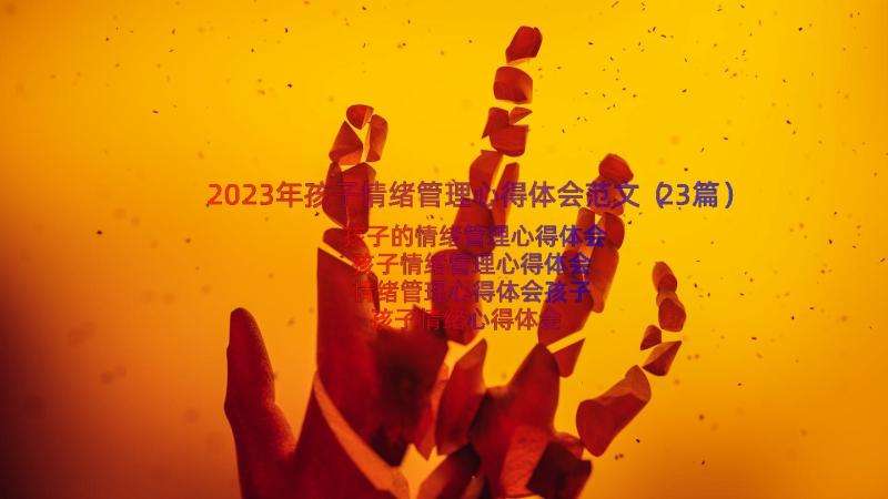 2023年孩子情绪管理心得体会范文（23篇）