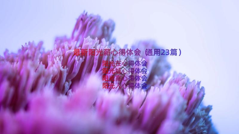 最新阳光薪心得体会（通用23篇）